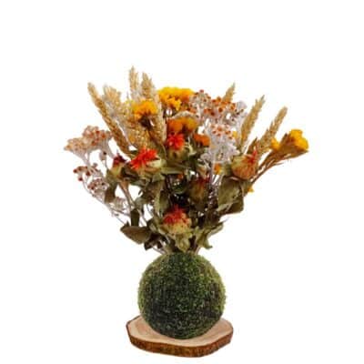Kokedama otoño