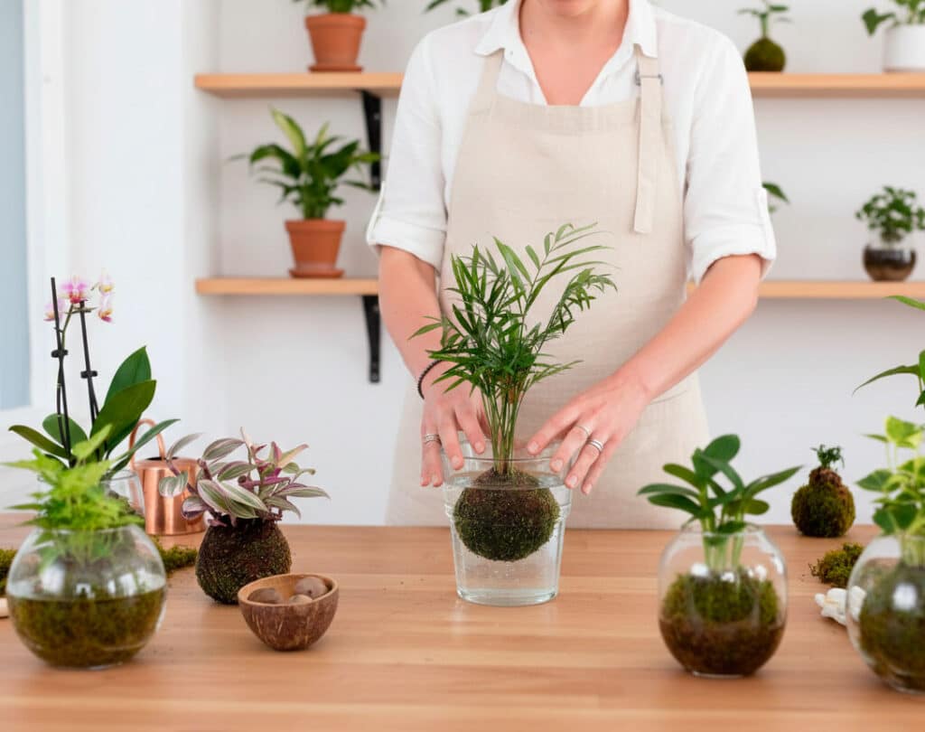 Riego Kokedama